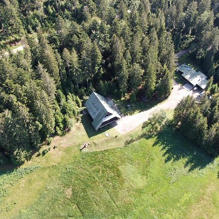 Edelfuchs-Lodge Buhlertal Bagian luar foto