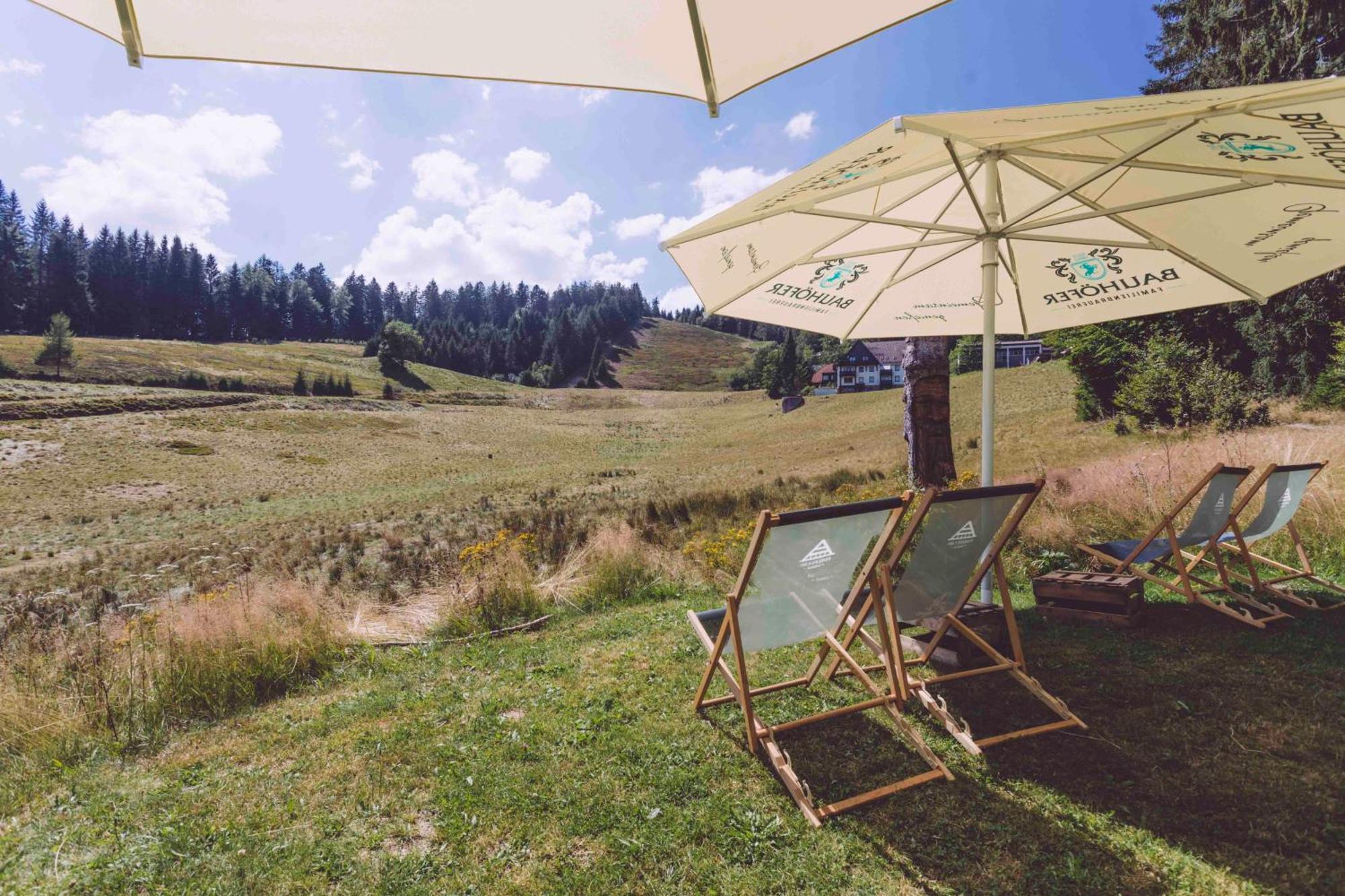 Edelfuchs-Lodge Buhlertal Bagian luar foto